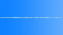 Forest ambience, sparse birds, wind in trees.Sound Effect