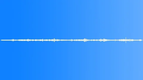 FOREST AMBIENT DAY Sound Effect