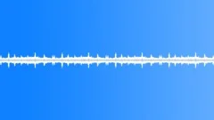 Forest (ambient, loop)Sound Effect