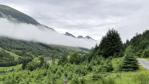 Forest among mountains and clouds Stock Footage 338341682