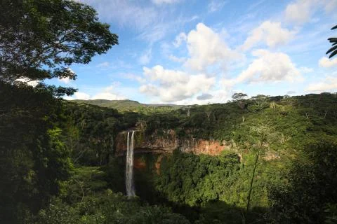 In the forest among the trees from the cliff flows a waterfall Stock Photos