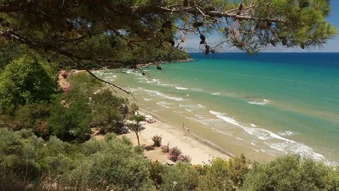 Forest and the beach Stock Footage 69714706