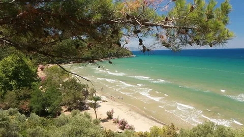 Forest and the beach Stock Footage 69715950