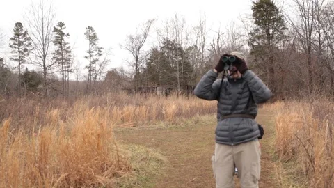 Forest and binoculars Video stock 104975504