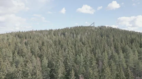 Forest And Blue Sky Drone Boom-up Video stock 240321342