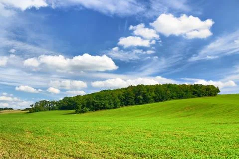 Forest and blue sky Stock Photos
