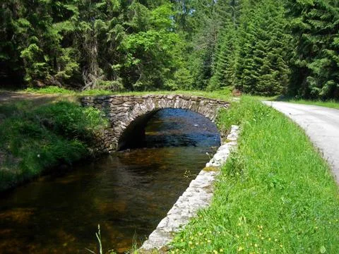 Forest and brook Stock Photos