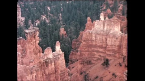 Forest and Canyon View Stock Footage 276291772