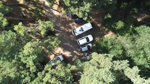 Forest and caravan Stock Footage 168573667