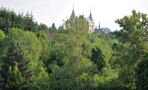 Forest and castle Stock Photos