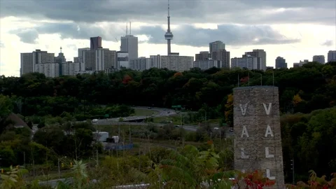 Forest and city Video stock 105614423