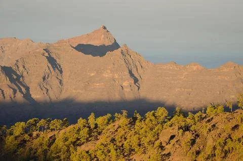 Forest and cliffs. Stock Photos