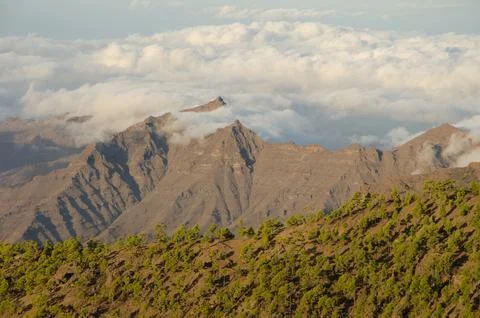 Forest and cliffs. Stock Photos