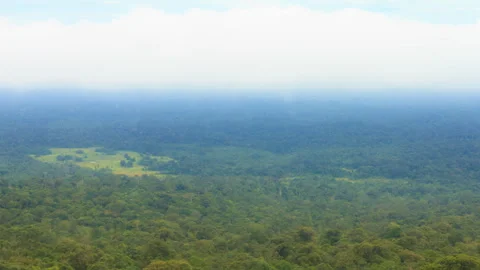 Forest and Cloud Stock Footage 287355909