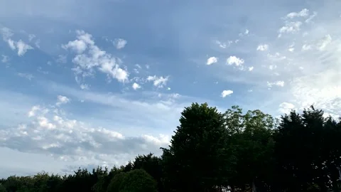 Forest and clouds in the sky time lapse Stock Footage 171773771
