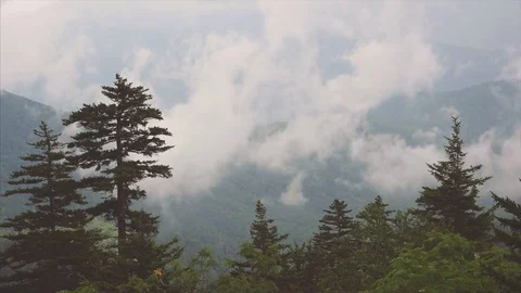 Forest and Clouds Time Lapse in Great Smoky Mountains National Park 스톡 동영상 75457592