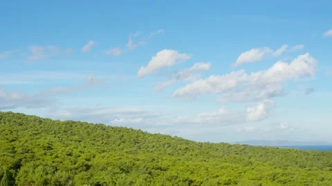 Forest And Clouds Time-Lapse  Stock Footage 148964261