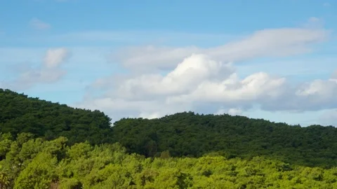 Forest And Clouds Time-Lapse  Stock Footage 148964355