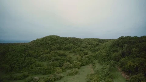 Forest and coastal cliffs Bali Indonesia Video stock 121369655