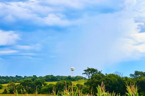 Forest and corn fields with water tower and pale blue sky Foto stock