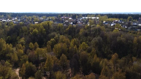 Forest and cottages Stock Footage 109426490