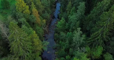 Forest and dam top view Video stock 169372987
