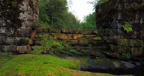 Forest and dam top view Video stock 169372997