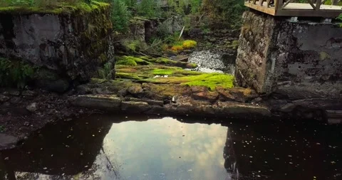 Forest and dam top view Video stock 169372999