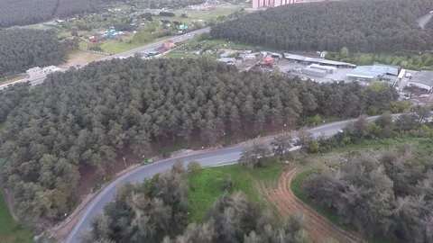 Forest and deforestation Stock Footage 195369969