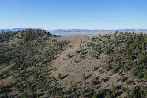 Forest and distant mountains view from above Stock Photos