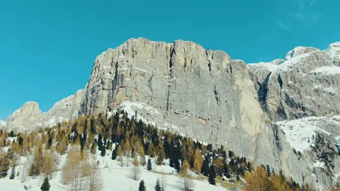 Forest and dolomites mountains. Stock Footage 107399604