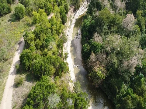 Forest and Dry River Stock Footage 85106025