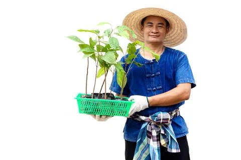 Forest  and environment conservation. Foto stock