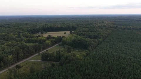 Forest and Farm Fields at a Planned Louisa County Data Center Site Stock-Footage 347144879