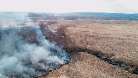 Forest and field fire. Dry grass burns, natural disaster. Aerial view. A small Stock Footage 119414475
