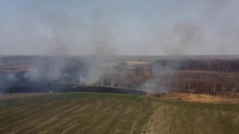 Forest and field fire. Dry grass burns, natural disaster. Aerial view 스톡 동영상 128230618
