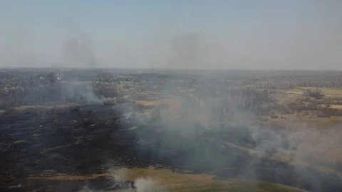 Forest and field fire. Dry grass burns, natural disaster. Aerial view 스톡 동영상 128231059