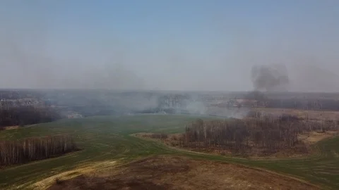 Forest and field fire. Dry grass burns, natural disaster. Aerial view. Vídeo Stock 128231214