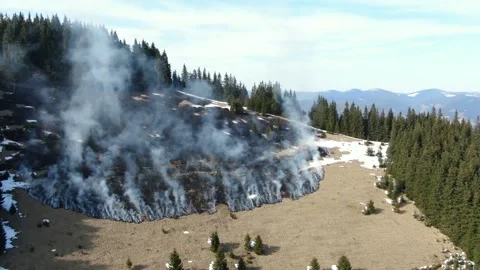 Forest and field on fire in mountains. Aerial view Stock Footage 152254219