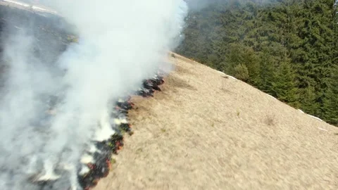 Forest and field on fire in mountains. Aerial view. Dry grass burns early spr Stock Footage 152254304