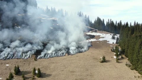 Forest and field on fire in mountains. Aerial view. Dry grass burns early spr Stock Footage 152255432