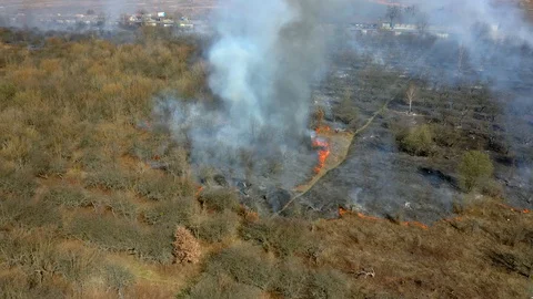 Forest and field fire. Top view of a forest fire. 4k Stock-Footage 129864659