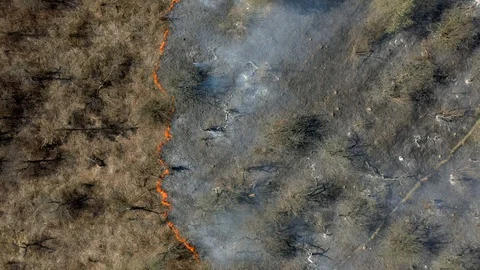 Forest and field fire. Top view of a forest fire. 4k Stock Footage 129864749
