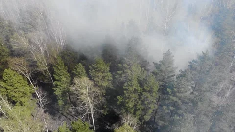Forest and field fire. Top view of a forest fire 스톡 동영상 130510340