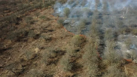 Forest and field fire. Top view of a forest fire. 4k Vídeos de archivo 131347297
