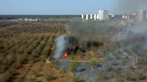 Forest and field fire. Top view of a forest fire. 4k Vídeo Stock 150186276