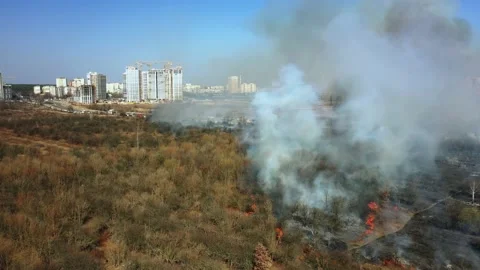 Forest and field fire. Top view of a forest fire. 4k Stock Footage 150186301