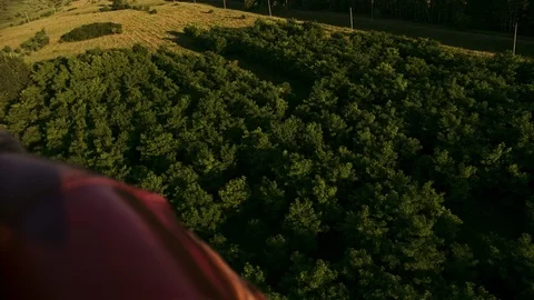 Forest and field Located Under Flying Aerostat Stock-Footage 115931969