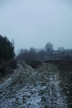 Forest and fields in early spring Stock Photos