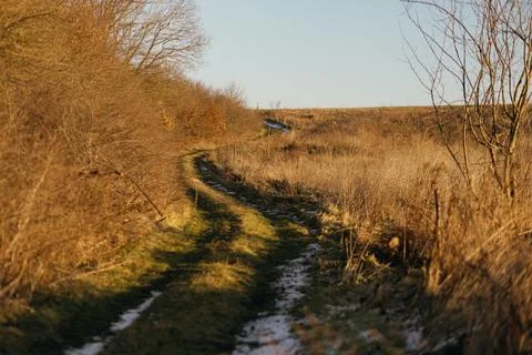 Forest and fields in early spring Stock Photos